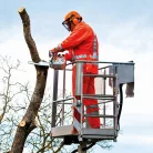 STIHL MS 201 TC-M benzinmotoros fűrész 35,2cm3, 2,4LE, 35cm