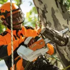 STIHL MSA 161 T akkus láncfűrész AP rendszer 36V alapgép, 30cm