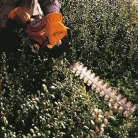 STIHL HS 45 benzinmotoros sövénynyíró 27,2cm3, 1,0LE, 60cm