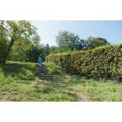 STIHL FSE 81 elektromos szegélynyíró 1000W