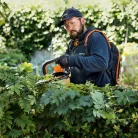 STIHL HSA 94 R akkumulátoros sövénynyíró akku és töltő nélkül 36V