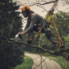 STIHL GTA 40 akkus ágvágó fűrész AS rendszer, 2 x 10,8V AS 2 akku és AL 5-2 gyors töltővel, 15cm