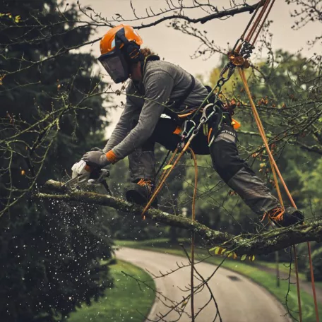 STIHL GTA 40 akkus ágvágó fűrész AS rendszer, 2 x 10,8V AS 2 akku és AL 5-2 gyors töltővel, 15cm