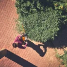 STIHL HSA 140.0 R akkumulátoros sövénynyíró, AP rendszer, 36V alapgép, 75 cm