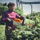 STIHL HSA 140.0 R akkumulátoros sövénynyíró, AP rendszer, 36V alapgép, 75 cm