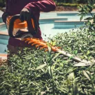 STIHL HSA 140.0 R akkumulátoros sövénynyíró, AP rendszer, 36V alapgép, 75 cm