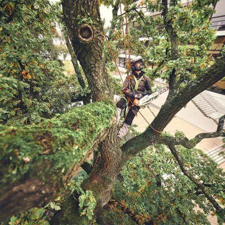 STIHL MSA 220 TC-O akkus láncfűrész AP rendszer 36V alapgép, 35cm