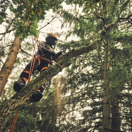 STIHL MSA 220 TC-O akkus láncfűrész AP rendszer 36V alapgép, 35cm