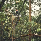 STIHL MSA 220 TC-O akkus láncfűrész AP rendszer 36V alapgép, 35cm