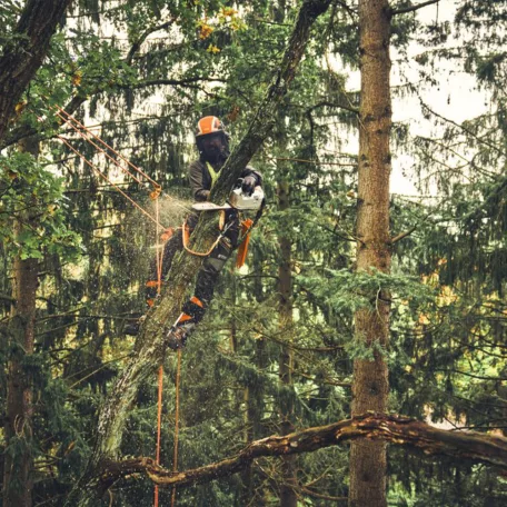 STIHL MSA 220 TC-O akkus láncfűrész AP rendszer 36V alapgép, 35cm