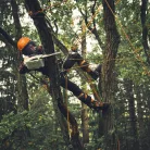 STIHL MSA 190.0 T akkumulátoros láncfűrész, AP rendszer, 36V alapgép, 30 cm