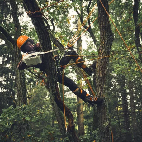 STIHL MSA 190.0 T akkumulátoros láncfűrész, AP rendszer, 36V alapgép, 30 cm