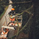 STIHL MSA 190.0 T akkumulátoros láncfűrész, AP rendszer, 36V alapgép, 30 cm